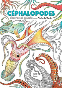 Céphalopodes
