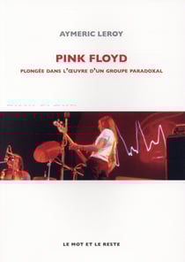 Pink Floyd - plongée dans l'oeuvre d'un groupe paradoxal