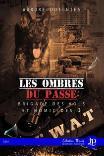 Brigade des vols et homicides Tome 3 - les ombres du passé