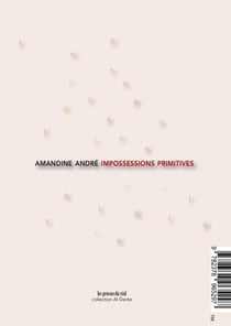 Impossessions primitives