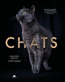 Chats