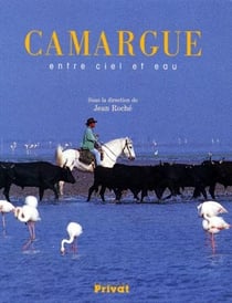 Camargue entre ciel et eaux