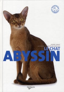 Le chat abyssin