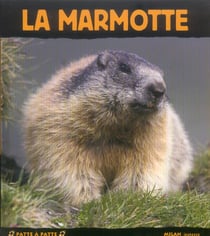 Marmotte (la)