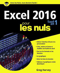 Excel 2016 tout en 1 pour les nuls