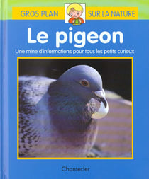 Gros plan sur la nature 34 le pigeon