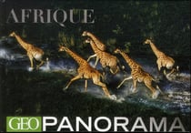 Afrique