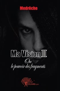 Ma vision 2 - ou le pouvoir des fragments