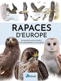 Rapaces d'Europe : Les identifier par leur aspect, leur comportement et leur habitat