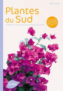 Plantes du sud - comment les choisir et les cultiver facilement