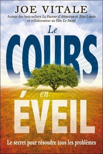 Le cours en éveil - le secret pour résoudre tous les problèmes