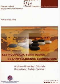 Les nouveaux territoires de l'intelligence économique