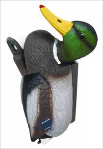 No new kind of duck - would i know how to say what i do?