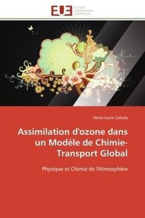 Assimilation d'ozone dans un modele de chimie-transport global - physique et chimie de l'atmosphere