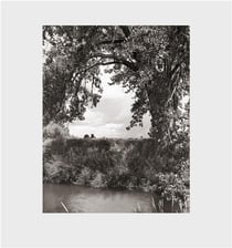 Robert adams cottonwoods