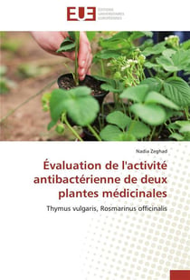 Evaluation de l'activite antibacterienne de deux plantes medicinales