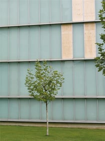 Dimensions variable