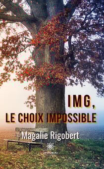 IMG, le choix impossible