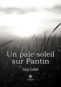 Un pâle soleil sur Pantin