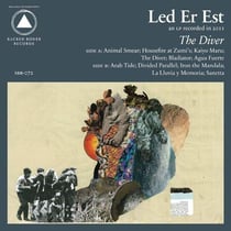 The diver
