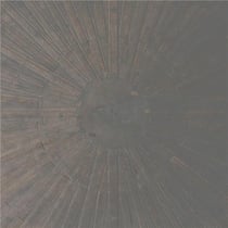 Selva oscura
