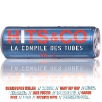 Hits & co la compile des tubes /vol.4