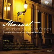 Musique de chambre pour cordes