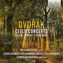 Dvorak : Oeuvres pour violoncelle et orchestre
