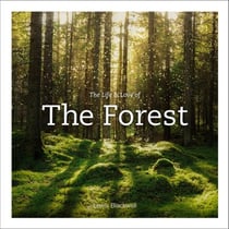 The life and love of the forest