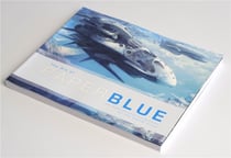 The art of paperblue - an instructional companion for the digital artist