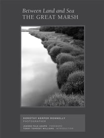 Between land and sea : the great marsh, photographs by dorothy kerper monnelly