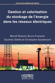 Gestion et valorisation du stockage de l'énergie dans les réseaux électriques
