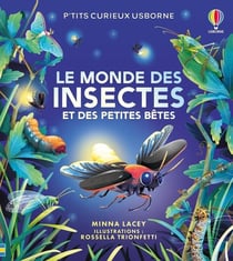 Le monde des insectes et des petites bêtes