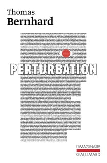 Perturbation
