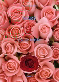 Mary t.1 : 50 ça se tente