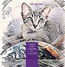 Tsuki chat lunaire en finistère
