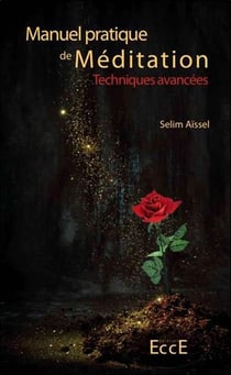 Manuel pratique de méditation - techniques avancées