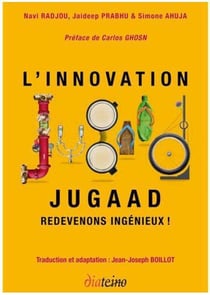 L'innovation Jugaad - redevenons ingénieux !