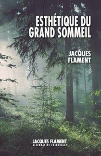 Esthétique du grand sommeil