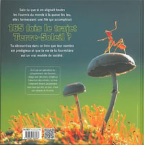 Le monde fascinant des fourmis
