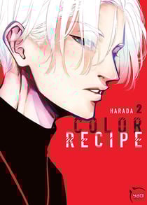 Color recipe Tome 2