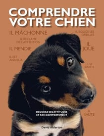 Comprendre votre chien - décodez les attitudes et le comportement de votre chien