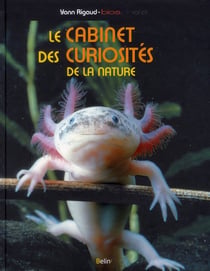 Le cabinet de curiosités de la nature