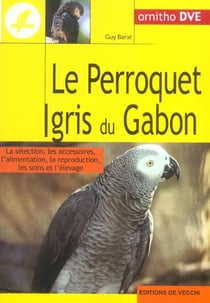 Le perroquet gris du gabon