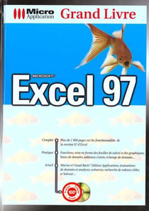 Grand livre excel 97