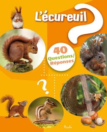 40 questions/réponses : L'écureuil