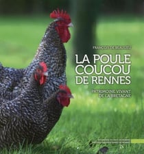 La poule Coucou de Rennes - patrimoine vivant de la Bretagne
