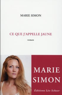 Ce que j appelle jaune