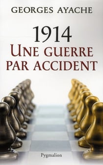 1914, une guerre par accident