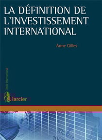 La Definition De L Investissement International